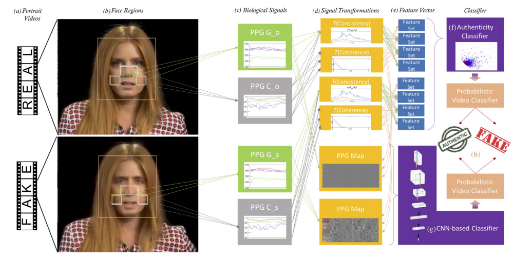 Model untuk mendeteksi deepfake